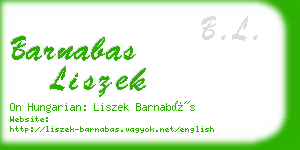 barnabas liszek business card